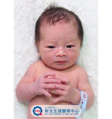 小桾之子