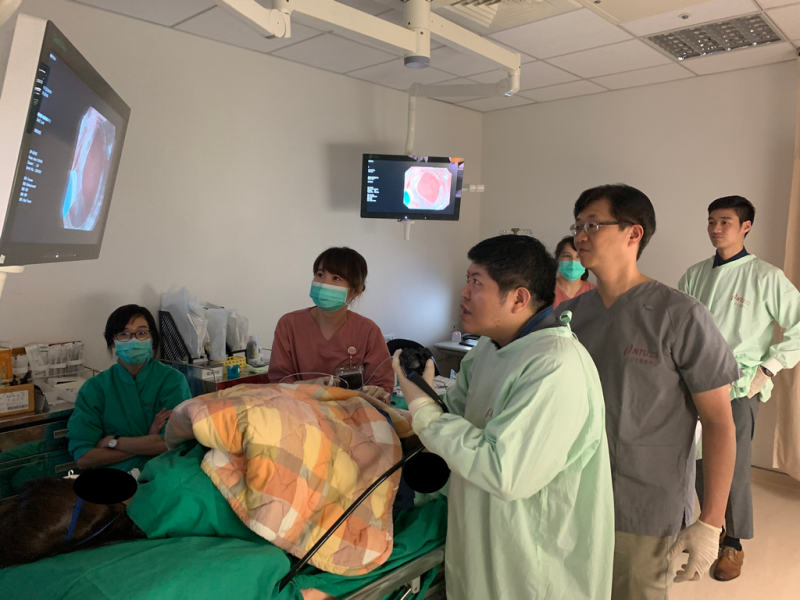 Colonoscopy