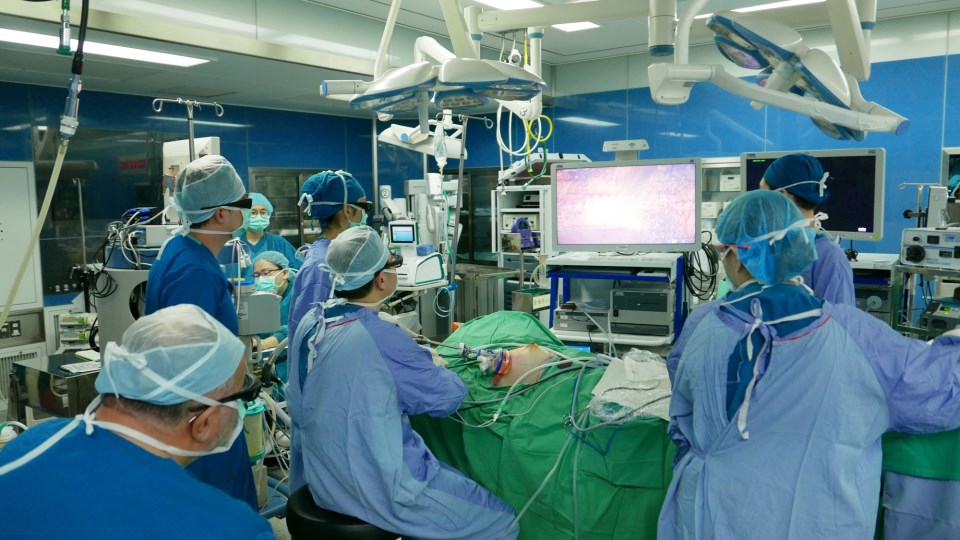 Endoscopic & Robotic Breast Surgery Training Program_environment