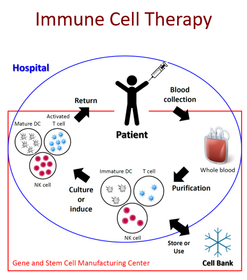 Advanced Cell Therapy_process