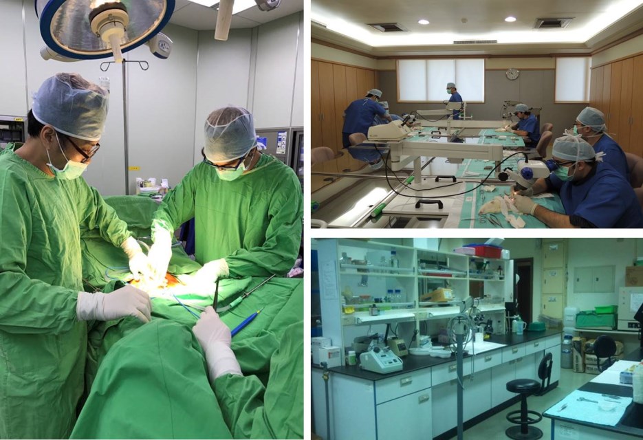 Microsurgery and Reconstruction_training