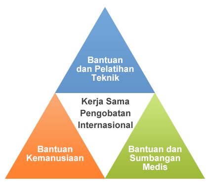 Kerja Sama Pengobatan Internasional